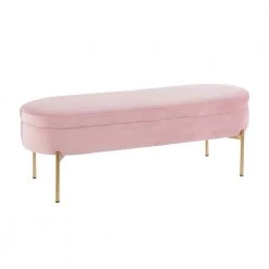 Chloe 18 in. Blush Pink Velvet and Gold Storage Bench by Lumisource