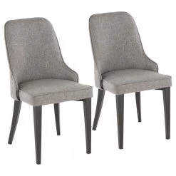 Nueva Grey and Black Dining/Accent Chair (Set of 2) by Lumisource