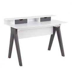 Wishbone 47.25 in. Rectangular White and Grey Wood 2-Drawer Writing Desk by Lumisource